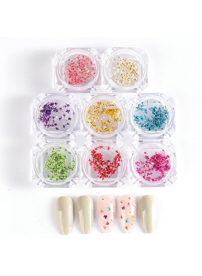 SILPECWEE 8 Boxes Dried Flowers For Nails Mini Real Nail Flowers 3D Dried Flowers Nail Stickers Nail Decor Manicure Design Nail Decorations For Makeup Diy Craft Accessories - Image 3