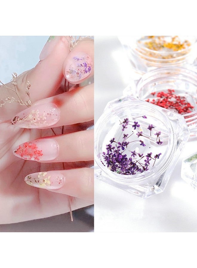 SILPECWEE 8 Boxes Dried Flowers For Nails Mini Real Nail Flowers 3D Dried Flowers Nail Stickers Nail Decor Manicure Design Nail Decorations For Makeup Diy Craft Accessories - Image 5
