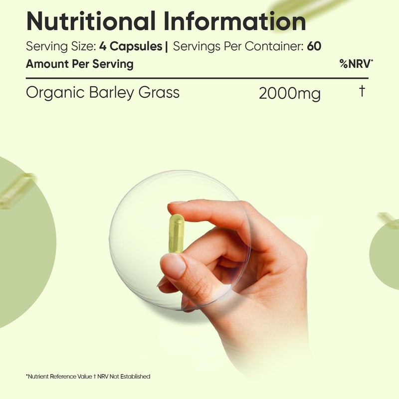 WeightWorld كبسولات مسحوق عشب الشعير العضوي 2000 ملغ - 240 كبسولة - إمداد لمدة شهرين - مصدر جيد لفيتامين أ، ج، ك و ب - نباتي وخالي من الغلوتين - كبسولات مسحوق عصير عشب الشعير للرجال والنساء - Image 5