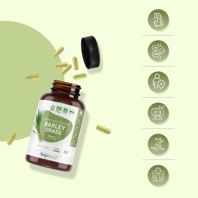 WeightWorld كبسولات مسحوق عشب الشعير العضوي 2000 ملغ - 240 كبسولة - إمداد لمدة شهرين - مصدر جيد لفيتامين أ، ج، ك و ب - نباتي وخالي من الغلوتين - كبسولات مسحوق عصير عشب الشعير للرجال والنساء - Image 3