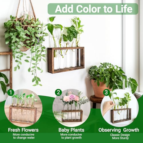IVOLADOR I Ivolador Plant Propagation Station Terrariumin Wall Test Tube Vases Bud Tabletop Glass Wooden Stand with 5 Propagation Tubes for Propagating Hydroponic Plants Home Garden Wedding Decoration-Brown - Image 2