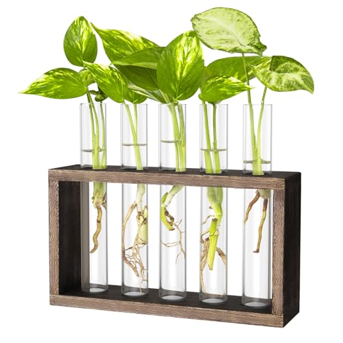IVOLADOR I Ivolador Plant Propagation Station Terrariumin Wall Test Tube Vases Bud Tabletop Glass Wooden Stand with 5 Propagation Tubes for Propagating Hydroponic Plants Home Garden Wedding Decoration-Brown - Image 1