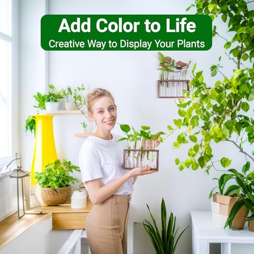 IVOLADOR I Ivolador Plant Propagation Station Terrariumin Wall Test Tube Vases Bud Tabletop Glass Wooden Stand with 5 Propagation Tubes for Propagating Hydroponic Plants Home Garden Wedding Decoration-Brown - Image 4
