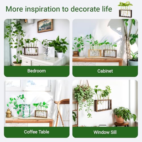 IVOLADOR I Ivolador Plant Propagation Station Terrariumin Wall Test Tube Vases Bud Tabletop Glass Wooden Stand with 5 Propagation Tubes for Propagating Hydroponic Plants Home Garden Wedding Decoration-Brown - Image 5