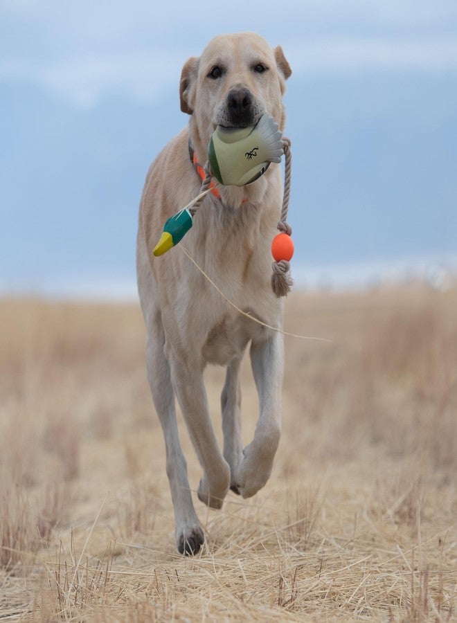 Browning Pet Toys, Durable Dog Toys for Tug and Fetch, Rubber Duck Rope Toy - Image 5