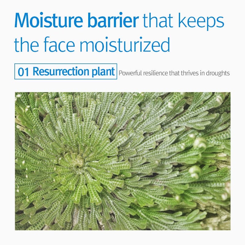 Pyunkang Yul PKY Kids  Baby Cream 400 milliliters 1352 fluid ounces  Moisturizer without worrying about irritation - Image 4