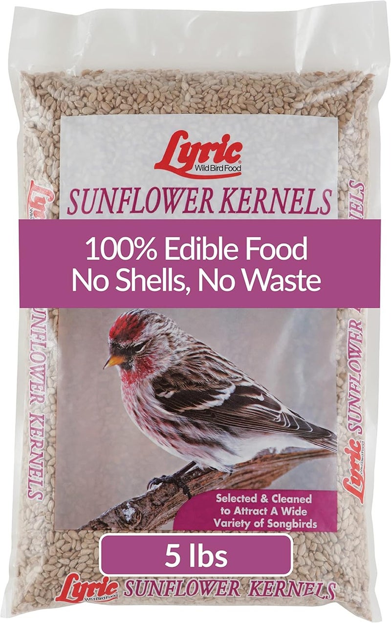 Lyric Sunflower Kernels Wild Bird Seed No Waste Bird Food Attracts Finches & More 5 lb. bag - Image 1