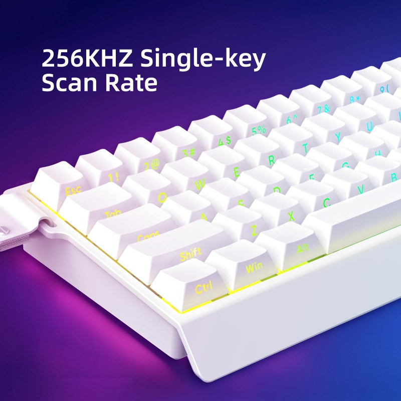 IROK Mer68 LITE Wired 68 Keys, Magnetic Switch Mechanical Keyboard, 8KHZ Polling Rate/Latency As 0.125MS/64KHZ All Keys Scan Rate/ARGB, Hot Swappable Gaming Keyboard(White) - Image 4