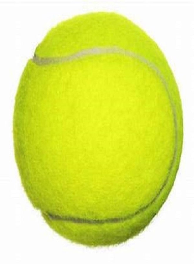 FELIDAE (Size - 3) PRO Kids Plastic Cricket Bat Kit (7 to 11 Years) 1 Tennis Ball / 1 Plastic Bat/Full Wicket Set for Kids (Green) - Image 5
