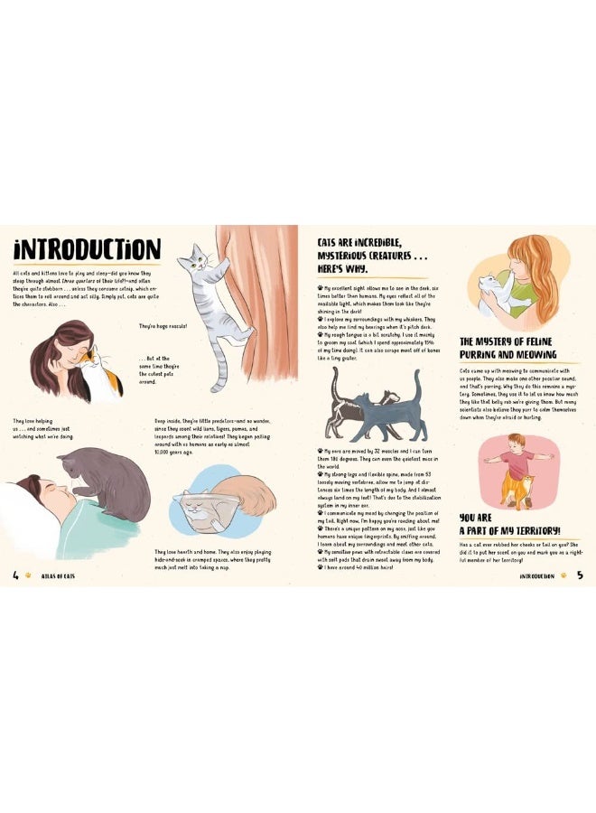 Atlas of Cats - Image 2