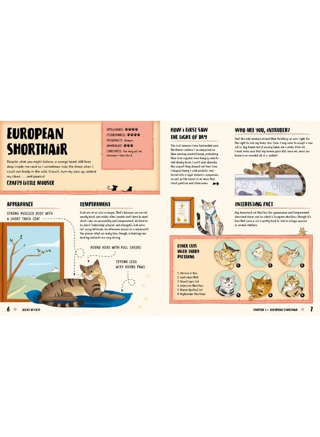 Atlas of Cats - Image 3