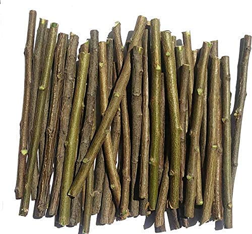 40NDTN@Neem Datun Toothbrush Nim Tree Twigs Chew Sticks for Brushing Teeth Removes Bad Breath, Relieve Tooth Ache 100% Ayurvedic Natural Organic - Pack of 40 Pieces_RTG3.9 - Image 1