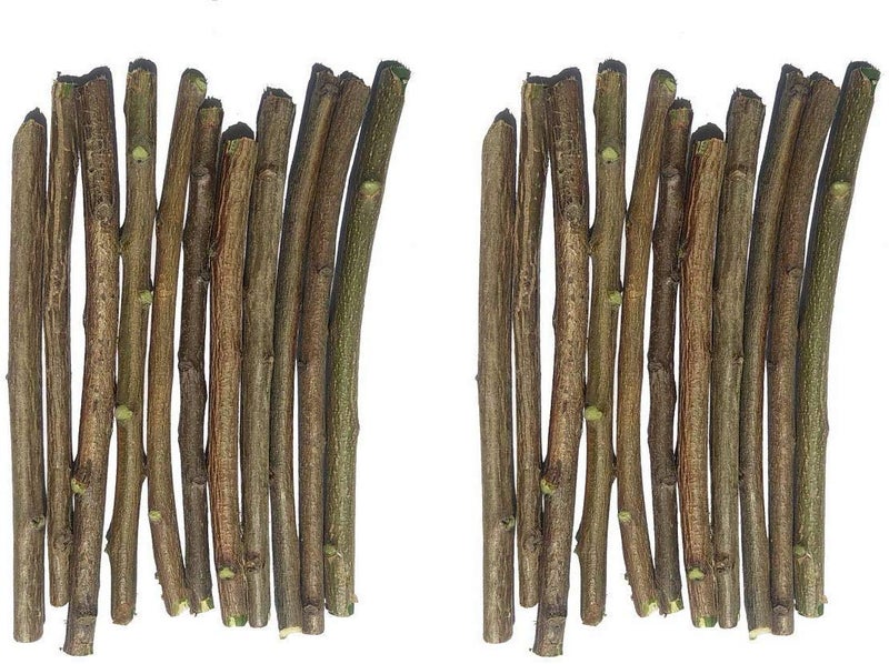 40NDTN@Neem Datun Toothbrush Nim Tree Twigs Chew Sticks for Brushing Teeth Removes Bad Breath, Relieve Tooth Ache 100% Ayurvedic Natural Organic - Pack of 40 Pieces_RTG3.9 - Image 4
