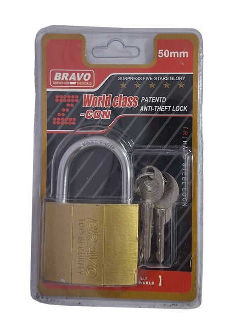 high quality lock is durable and safe. They come in different models, high security with 3 keys (50 mm) and others with different key numbers and sizes