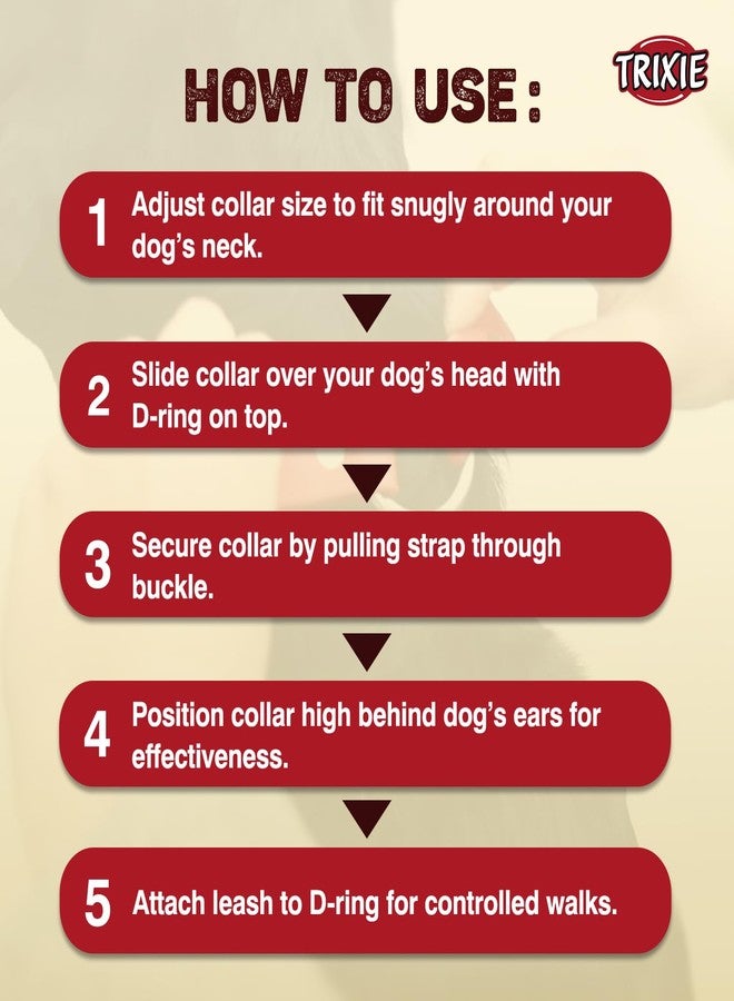 تريكسي طوق تريكسي المميز لمنع الشد، طوق نايلون قابل للتعديل للكلاب، مصنوع من سلسلة معدنية قوية لسهولة الانزلاق حول رقبة الكلب - (مقاس متوسط، لون أحمر كرزي) - Image 3