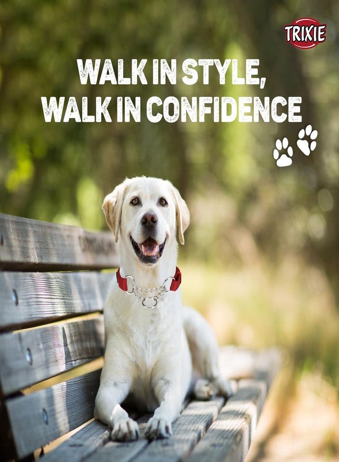 تريكسي طوق تريكسي المميز لمنع الشد، طوق نايلون قابل للتعديل للكلاب، مصنوع من سلسلة معدنية قوية لسهولة الانزلاق حول رقبة الكلب - (مقاس متوسط، لون أحمر كرزي) - Image 5