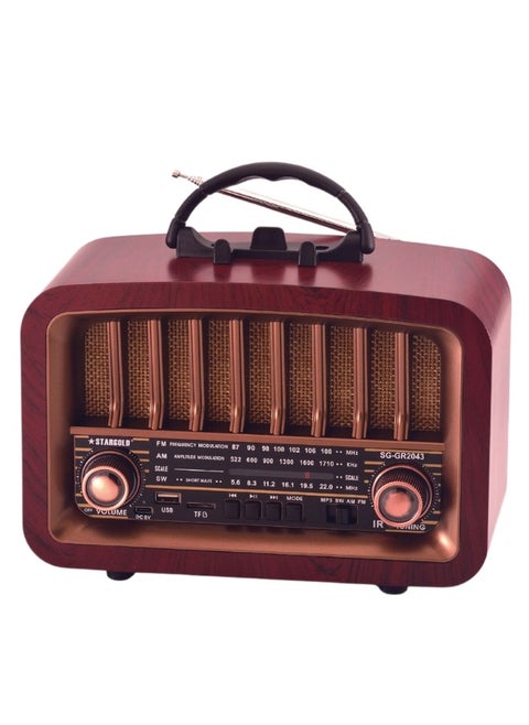 Portable Multi-Function FM/AM/SW Radio Bluetooth Connect, TWS, TF Player, USB Player