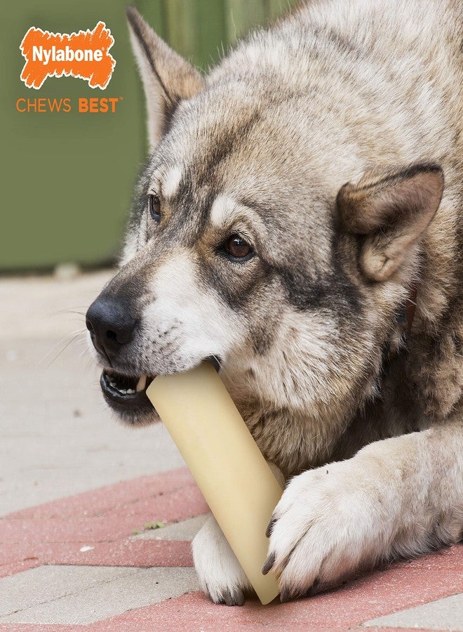 Nylabone Marrow Bone Alternative Power Chew Toy for Dogs, Dog Toys for Aggressive Chewers, Beef Flavor, Large - Up to 50 lbs, 1 Count - Image 2