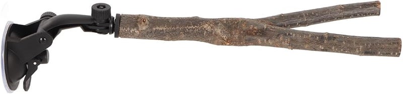 Fydun Bird Perch Stand Interactive Training Toy with Suction Cups 25CM - Image 3