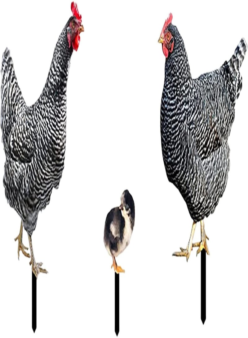 GGOOT Garden Ornaments Outdoor Stakes Decorative Chicken Family Garden Stake Hen Chick Rooster Courtyard Floor Plugs Ornament Garden Decoration 3PCS - Image 1