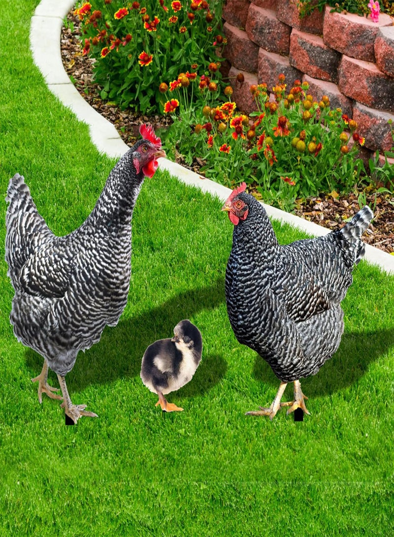 GGOOT Garden Ornaments Outdoor Stakes Decorative Chicken Family Garden Stake Hen Chick Rooster Courtyard Floor Plugs Ornament Garden Decoration 3PCS - Image 3
