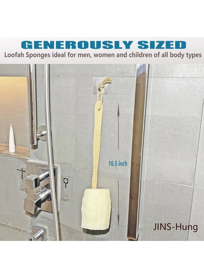 JINS-Hung فرشاة استحمام طبيعية من اللوف - لوفة جسم على عصا - إسفنجة فرك مع مقبض خشبي طويل لظهر الرجال والنساء - منتج استحمام سبا (1 عبوة) - Image 3