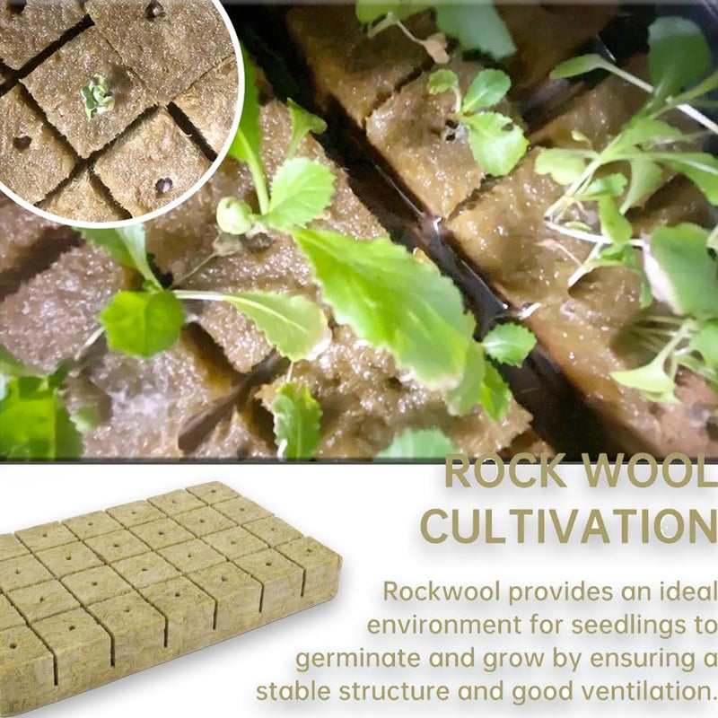 Meridian Gfamous 50‑Piece Rockwool Cubes 2.5 × 2.5 × 2.5 cm – Hydroponic Growing Blocks - CT - Image 5