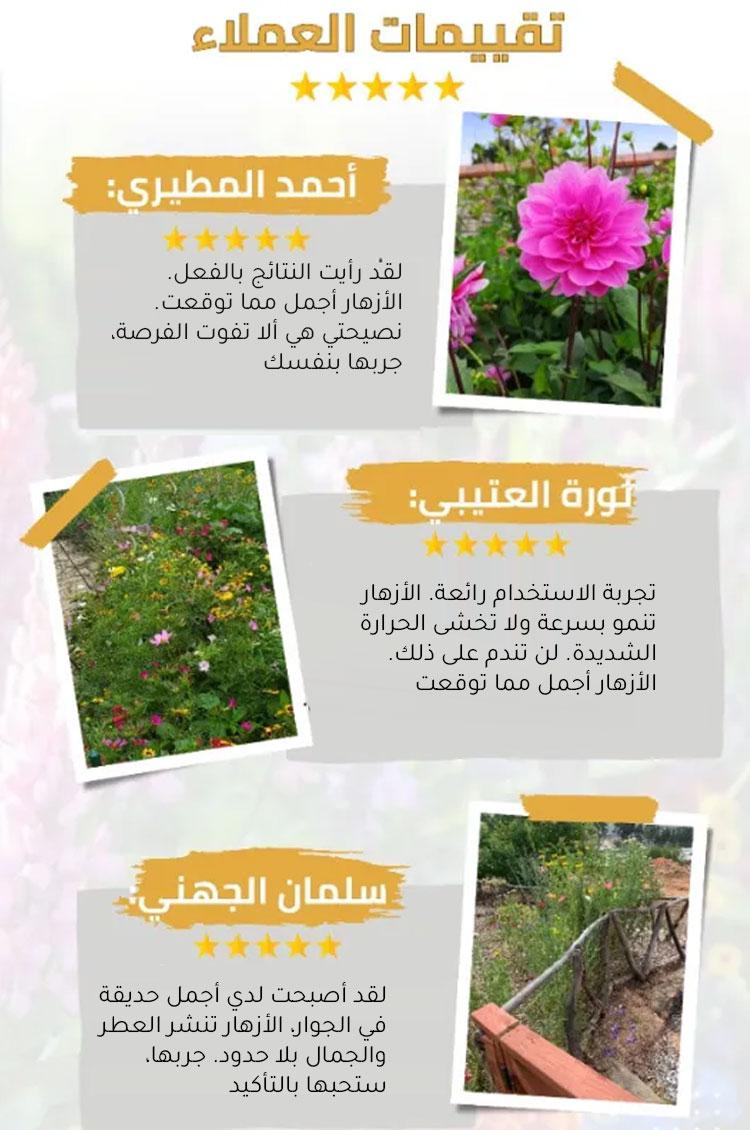 (يوصي بها البستانيون) مجموعة زهور موسمية لجميع أنواع التربة - Image 5