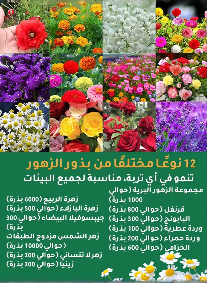 (يوصي بها البستانيون) مجموعة زهور موسمية لجميع أنواع التربة - Image 2