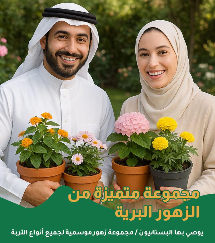 (يوصي بها البستانيون) مجموعة زهور موسمية لجميع أنواع التربة - Image 3