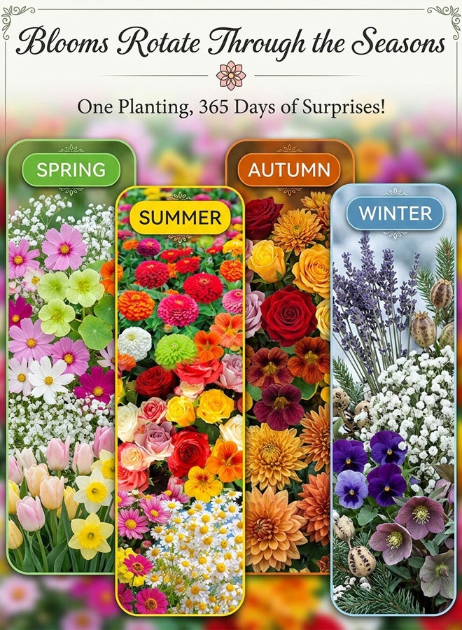 (Recommended by Gardeners) Seasonal Flower Collection for All Soil Types - Image 2