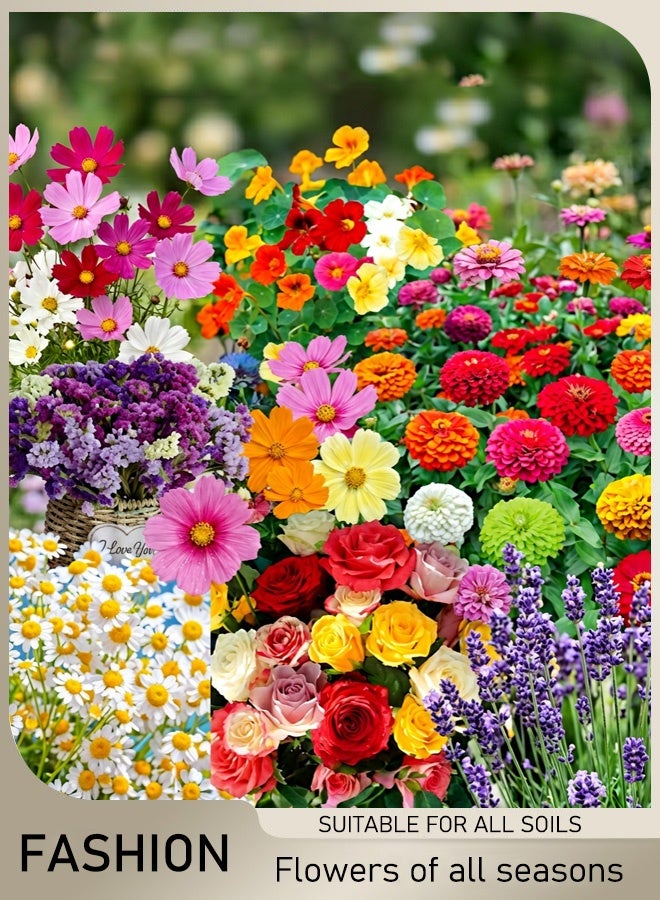(Recommended by Gardeners) Seasonal Flower Collection for All Soil Types - Image 1