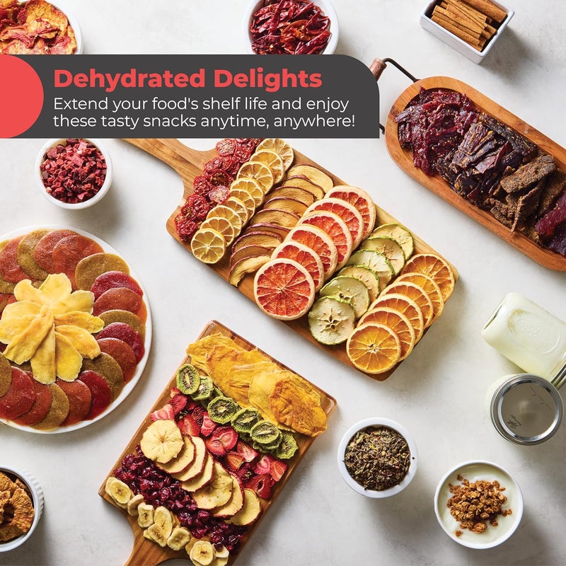 Magic Mill Food Dehydrator Machine | 5 Stackable Stainless Steel Trays, 48H Digital Adjustable Timer & Temperature Control Upto 167° Electric Dryer & Preserver for Jerky, Fruit, Dog Treats & Much More - Image 5