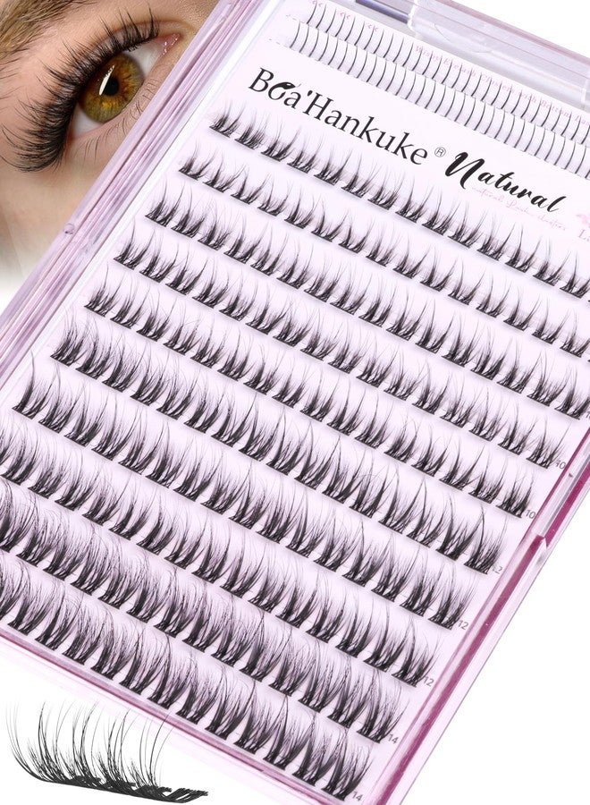 Boahankuke Natural Short Lash Clusters with Bottom Lash Clusters 8-14MM Wispy Eyelash Clusters C Curl Cluster Eyelash Extensions DIY Cluster Lashes for Clean Girl Daily Wear Individual Lashes with Thin Lash Band - Image 1