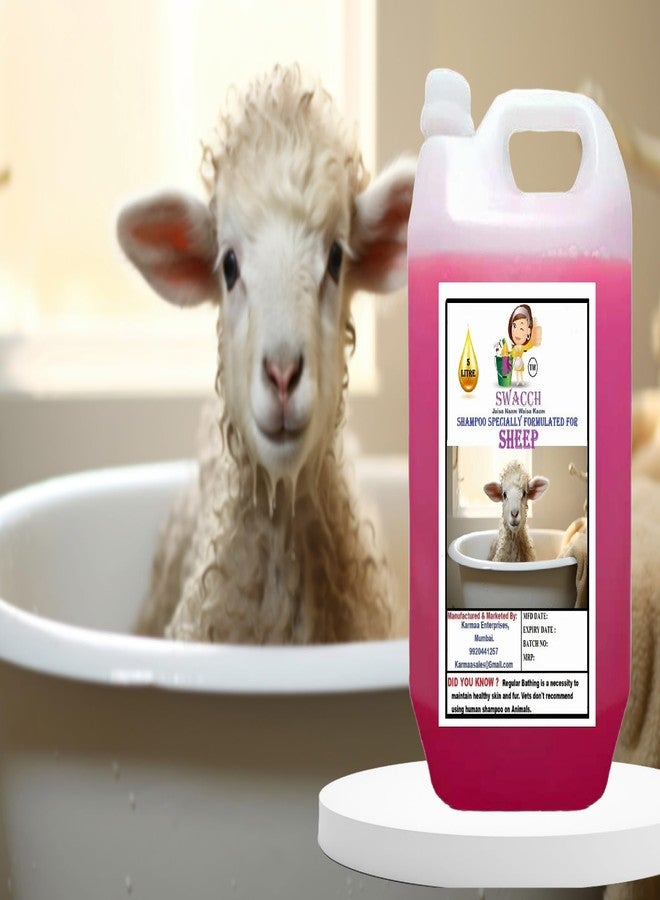 Swacch Shampoo Specially Formulated for Sheep (5 Litre) Rose - Image 1