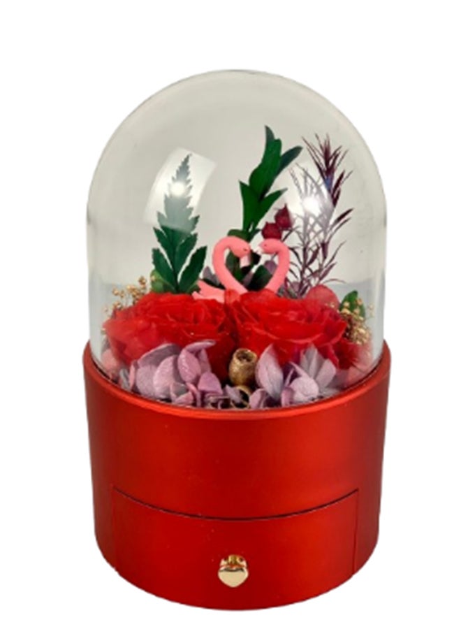 wardi Red Infinity Garden