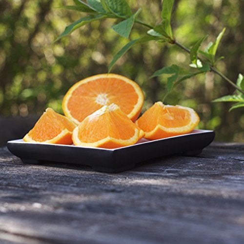 Magisso - 70650 White Line Naturally Cooling Ceramic Square Serving Plate # - Image 5