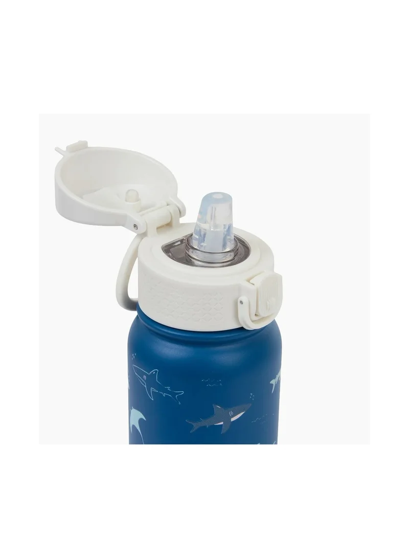 Little IA  Open Water Backpack and Water bottle Set - Small for Men | Best Price UAE