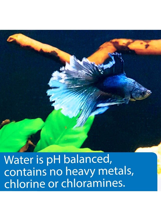 API - Betta Water, 64 Oz - Image 1