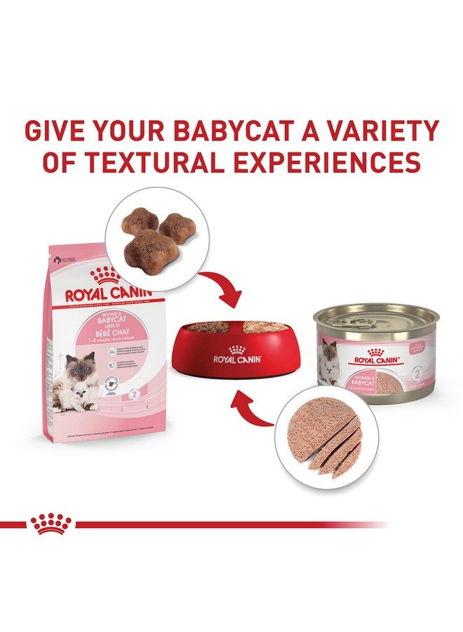 رويال كانين طعام جاف للقطط من Feline Health Nutrition Mother & Babycat للقطط حديثي الولادة والقطط الحامل أو المرضعة، كيس 6 رطل - Image 5