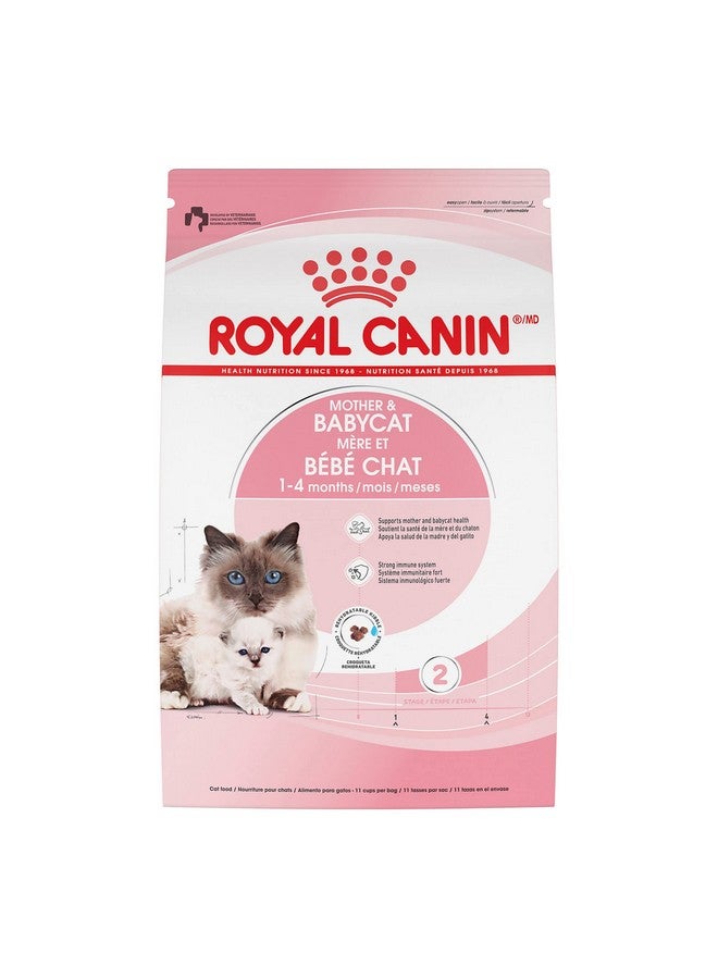 رويال كانين طعام جاف للقطط من Feline Health Nutrition Mother & Babycat للقطط حديثي الولادة والقطط الحامل أو المرضعة، كيس 6 رطل - Image 1