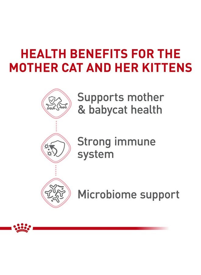 رويال كانين طعام جاف للقطط من Feline Health Nutrition Mother & Babycat للقطط حديثي الولادة والقطط الحامل أو المرضعة، كيس 6 رطل - Image 4