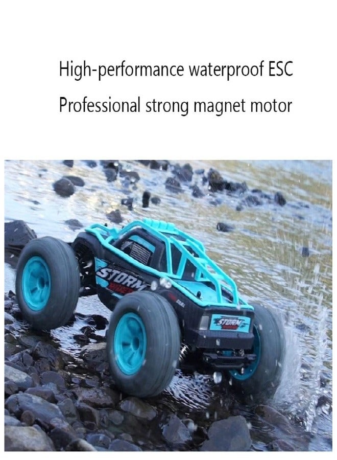 SAM Toys - 1:14 High speed RC car (W/chargable) Hobby Line - Assorted - Image 2