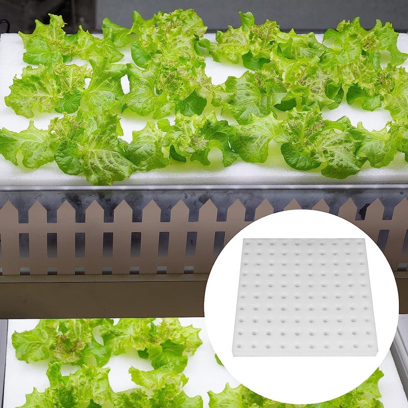 Meridian Hydroponic Sponge Planting Pads – Square Seedling Sponges, 4‑Sheet Pack for Small Bud Growth - CT - Image 2