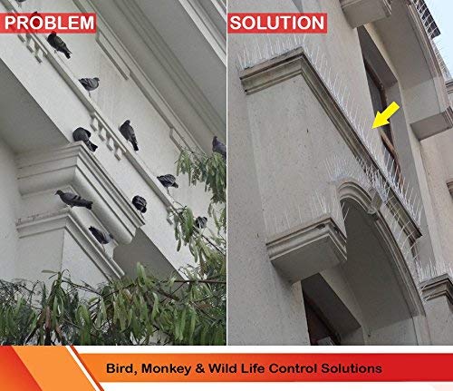 SpikeZone - Polycarbonate Bird Control Spikes, Pigeon Spikes, Anti Bird Spikes (10 Pcs in Box) - Image 5