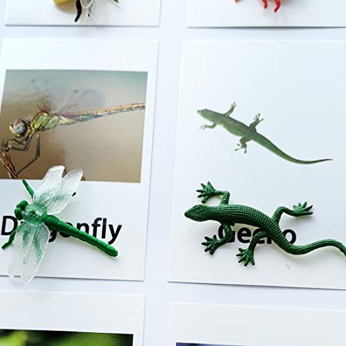 MEROCO Montessori Animal Match - Insect Animal Figurines with Matching Cards Language Montessori Materials Preschool Learning Toy NEWT008 - Image 5