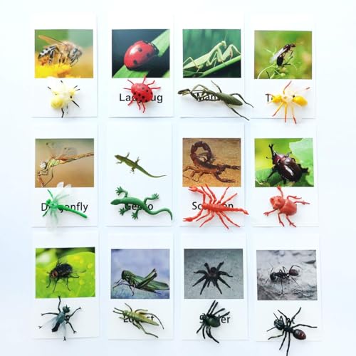 MEROCO Montessori Animal Match - Insect Animal Figurines with Matching Cards Language Montessori Materials Preschool Learning Toy NEWT008 - Image 2