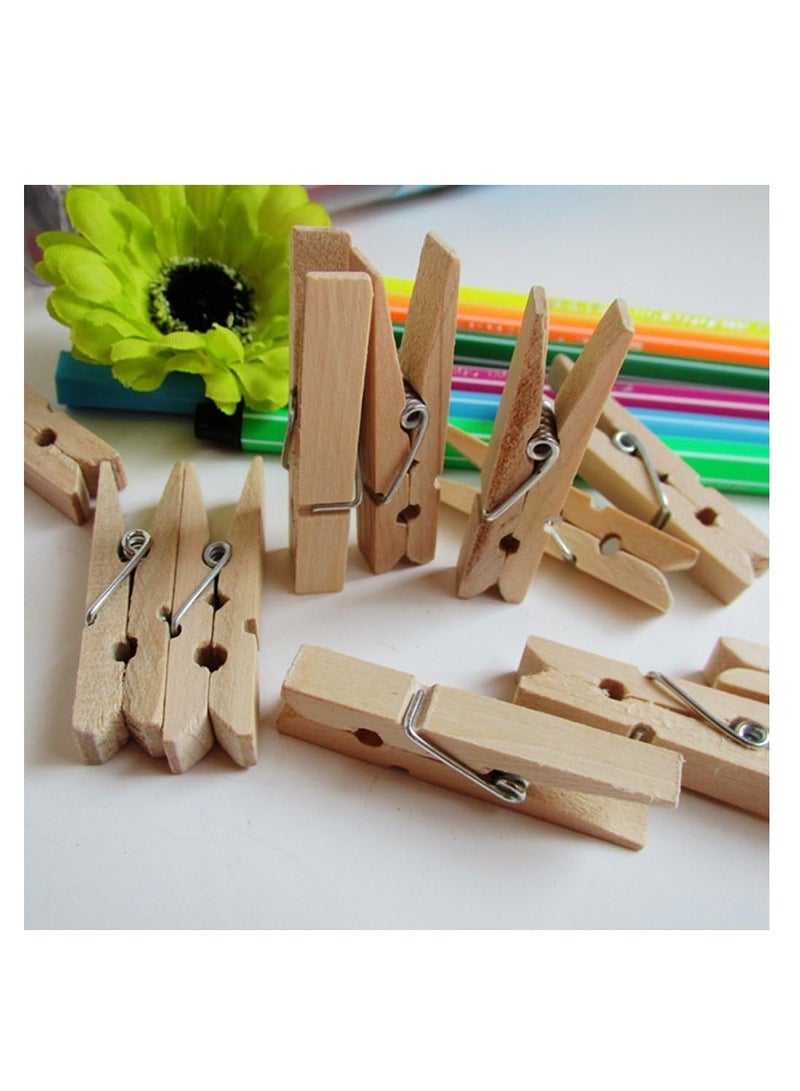 20 Piece Clothes Pegs Set Brown 4.76cm  - Image 1