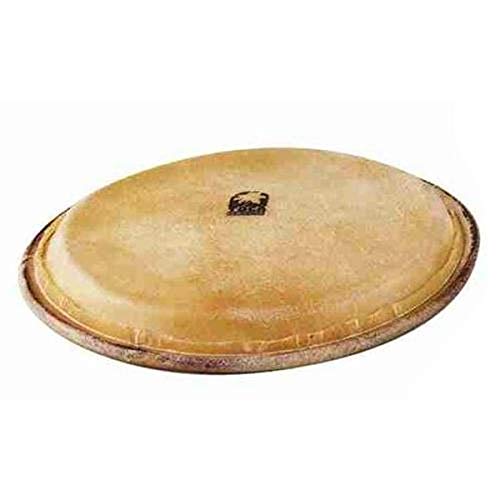 Toca GSPFS-12 12" Goat Skin Djembe Head - Image 1