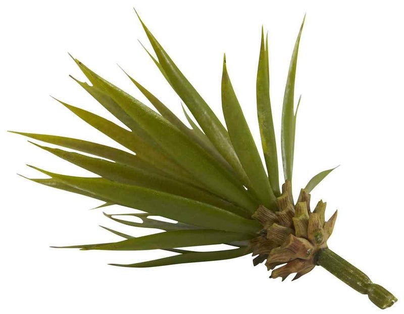 Nearly Natural Mini Spiky Agave Succulent Plant (Set of 12) - Image 4